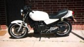 1981 Yamaha RD 250 photo